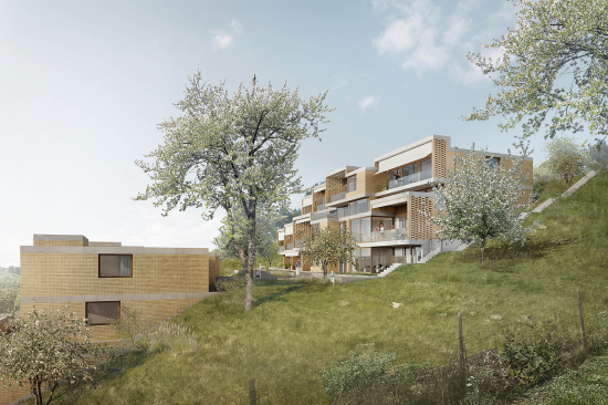 Studienauftrag Herrenschwanden